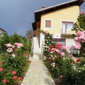 https://apartments-nela-pula.pula-hotels.org